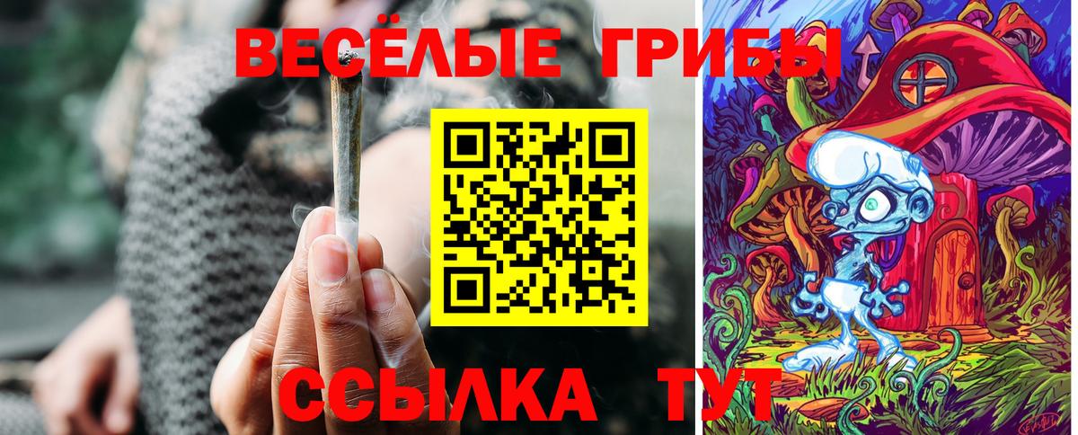Галлюциногенные грибы Psilocybine cubensis  Псилоцибиновые грибы MAGIC MUSHROOMS  Вход с VPN  Щёлково 