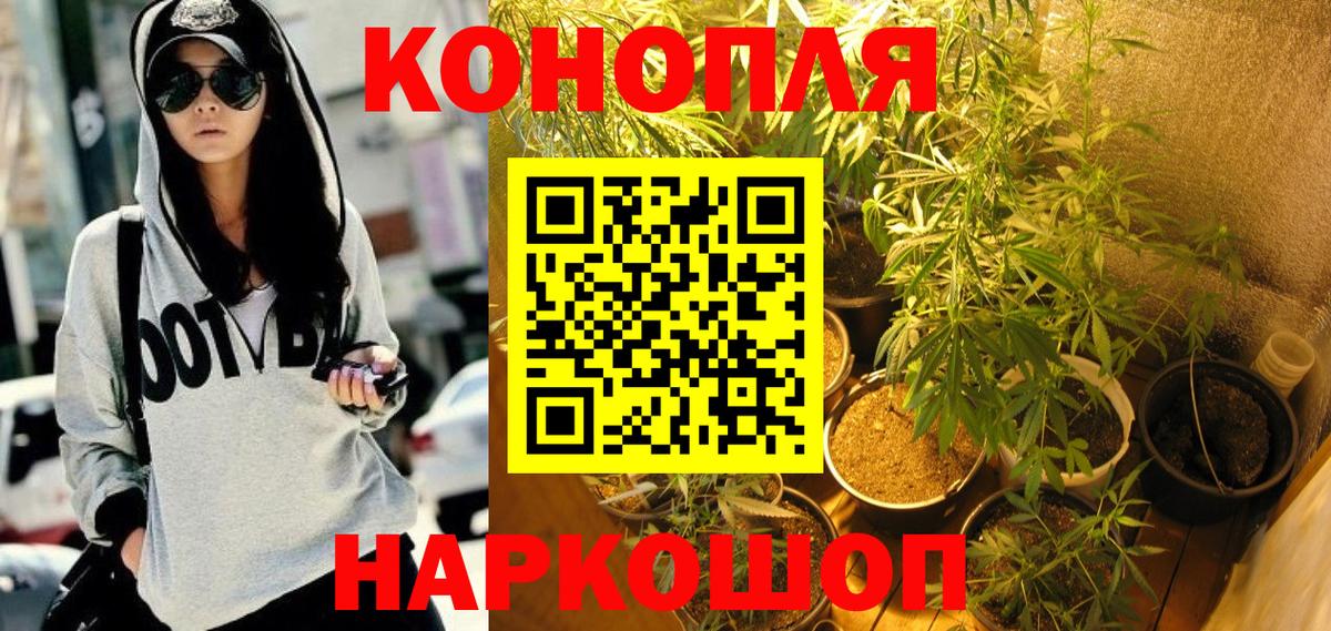 МАРИХУАНА SATIVA & INDICA  Шишки марихуана индика  Щёлково  Шишки марихуана план  Вход с VPN 